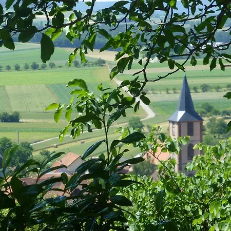Bed & Breakfast L'ete En Novembre Kirrwiller