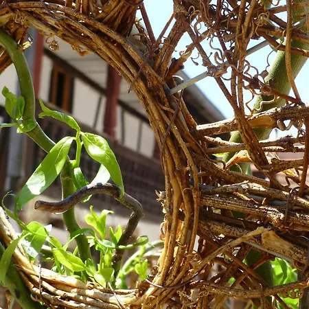 L'ete En Novembre 3* Kirrwiller