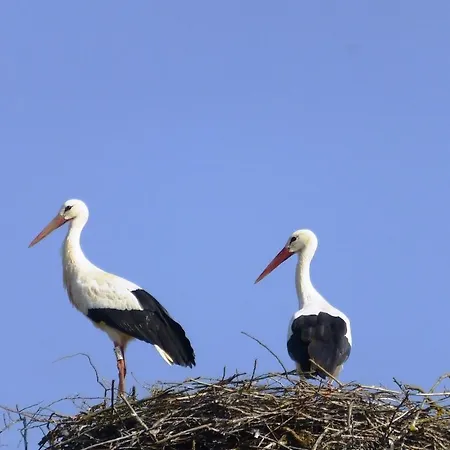 L'ete En Novembre 3*