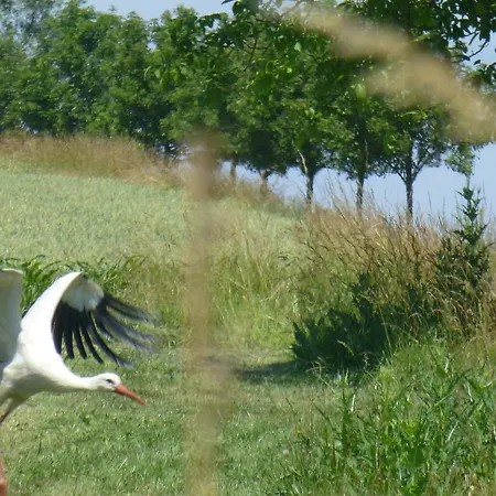 L'ete En Novembre Nocleg ze śniadaniem Kirrwiller