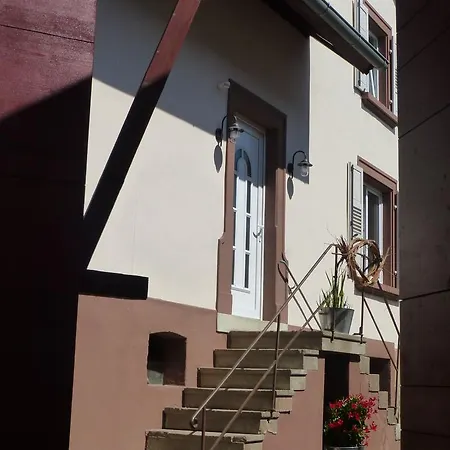 L'ete En Novembre Kirrwiller