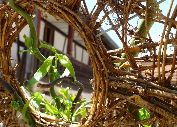 L'ete En Novembre 3* Kirrwiller