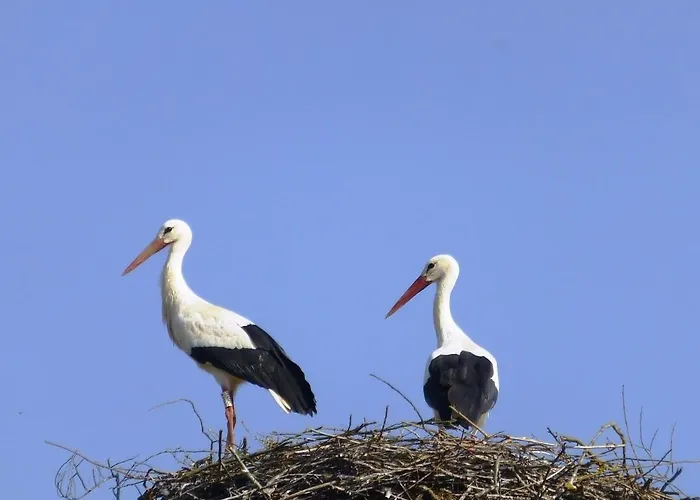 L'ete En Novembre 3*