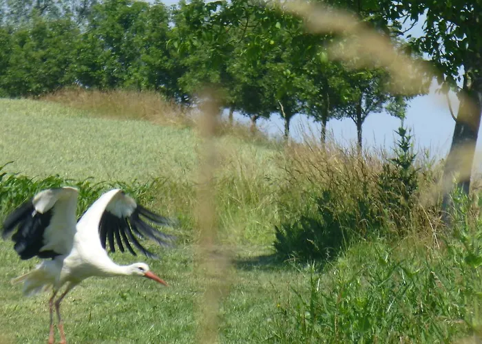 L'ete En Novembre Bed & Breakfast Kirrwiller